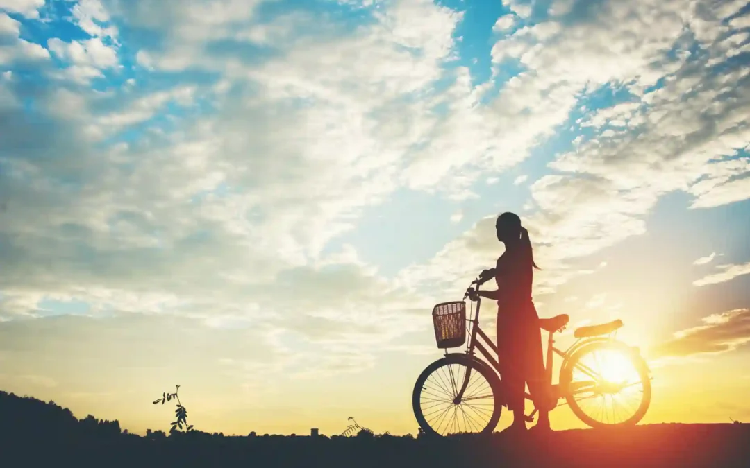 Il Migliore Seggiolino Bici Posteriore