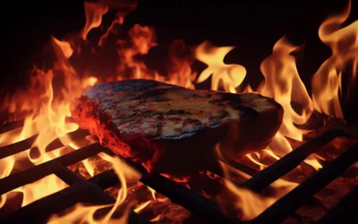 Il Migliore Carbone per Barbecue